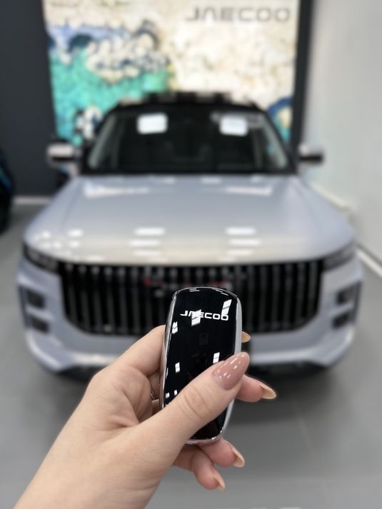 Как выгодно купить JAECOO?